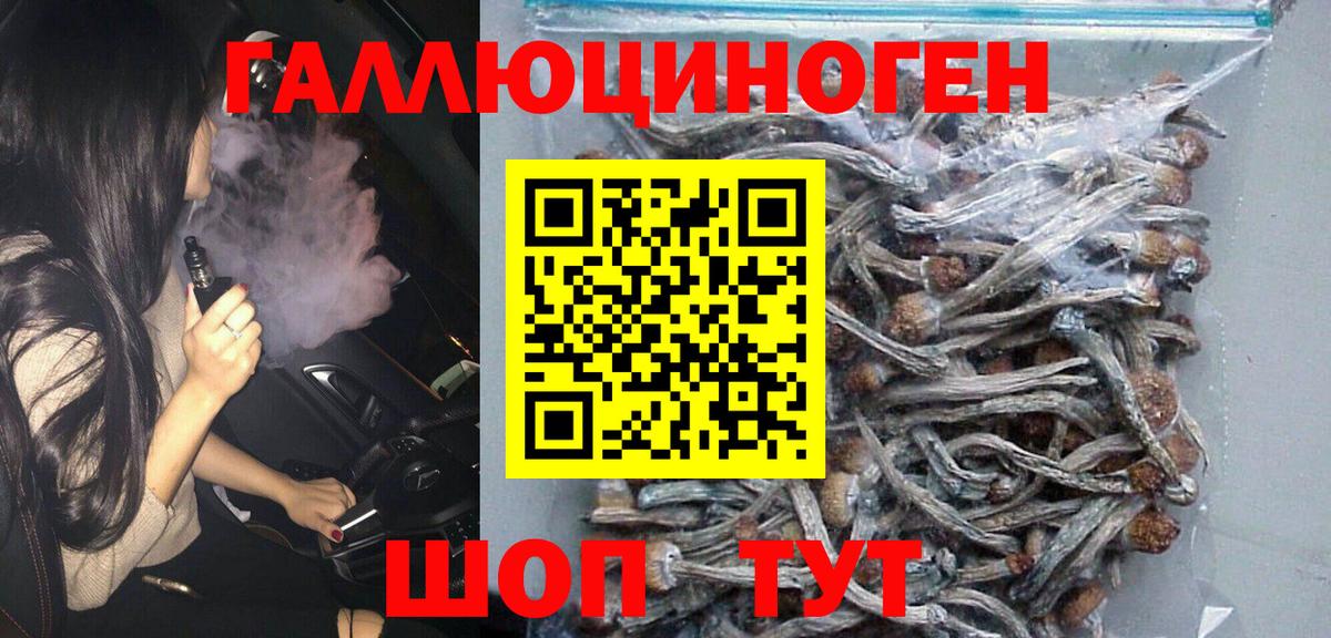 Псилоцибиновые грибы Psilocybe Елабуга