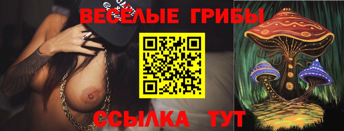 Елабуга  Псилоцибиновые грибы Magic Shrooms  Вход с VPN 